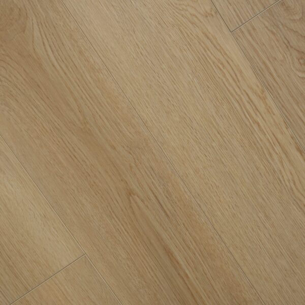 LUXURY VINYL Color: Draco/SG-803 Size: 8mm